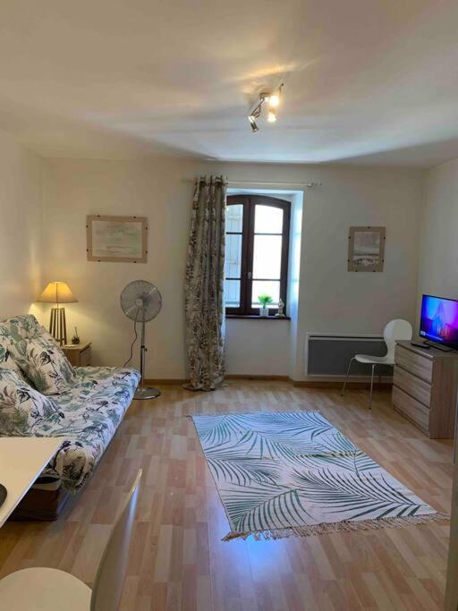 Plein Centre Pres Du Chateau Apartment
