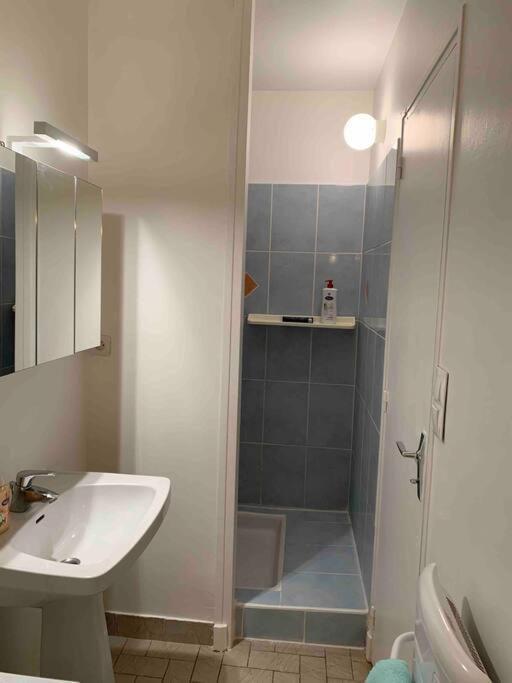 Plein Centre Pres Du Chateau Apartment